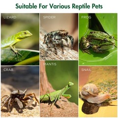 Pre-Assembled Jumping Spider Enclosure, Small (3.5″×3.5″×7″), Vertical