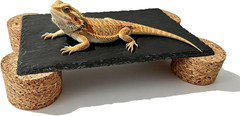 Bearded Dragon Basking Platform,9.8×5.9×1.6inch Reptile Heat Storage Slate Stone