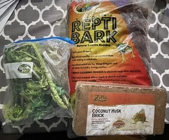 reptile supplies decor