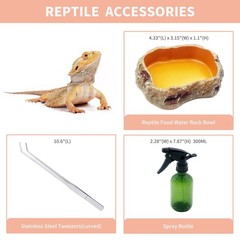 Reptileg Growth Reptile PC Terrarium, 8”x 8”x 11” with Top Sliding Door Sc…