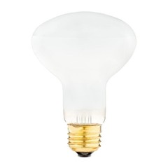 100W Basking Bulb Reptiles Infrared Heat Light Terrarium Lamp Indoor Use