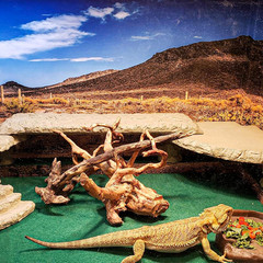 2 Pack Reptile Carpet, 39’’ X 20’’ Terrarium Bedding Substrate Liner Reptile Cag