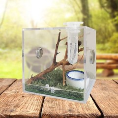 JOBEDE Jumping Spider Enclosure, Habitat with Dropper Clear