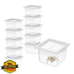 Pawfly 10 Pcs Mini Spider Terrarium, Jumping Spider Enclosure Box