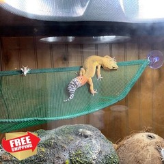 ADOGGYGO Bearded Dragon Lizard Hammock, Reptile Lounger Ladder, Bearded Drago…