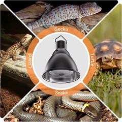 Reptile Light Fixture 7Inch Deep Dome 3/6/12 Timer Infrared Heat Lamp Max 150W