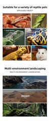 Nomoypet NS162 Rock Cave Simulation Pet Reptile Spider Turtle Sunbathing Platfor