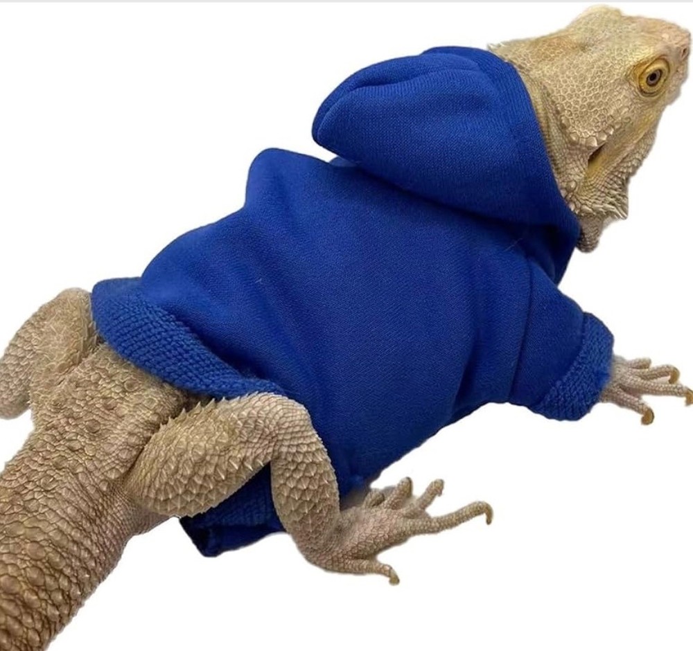 Bearded Dragon Hoodie Lizard Costume Small Pet Clothes Reptile Apparel 3 Colors