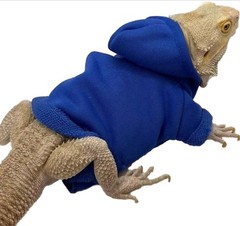 Bearded Dragon Hoodie Lizard Costume Small Pet Clothes Reptile Apparel 3 Colors
