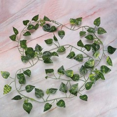 Repta Vines Flexible Bend Long Vines Artificial Fake Leaves Habitat Decor Lizard