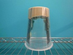 Hornworms
