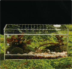 Acrylic Terrarium for Reptiles & Spiders – Small/Medium/Large Leak-Proof Enclosu