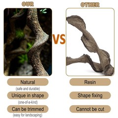 Reptile Decor 3PCS Natural Forest Branch Terrarium Habitat Decoration Lizard …