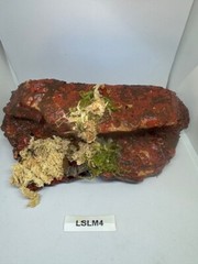 Magnetic Rock Ledges For Terrariums And Cages (Limited Edition) Medium LAVA