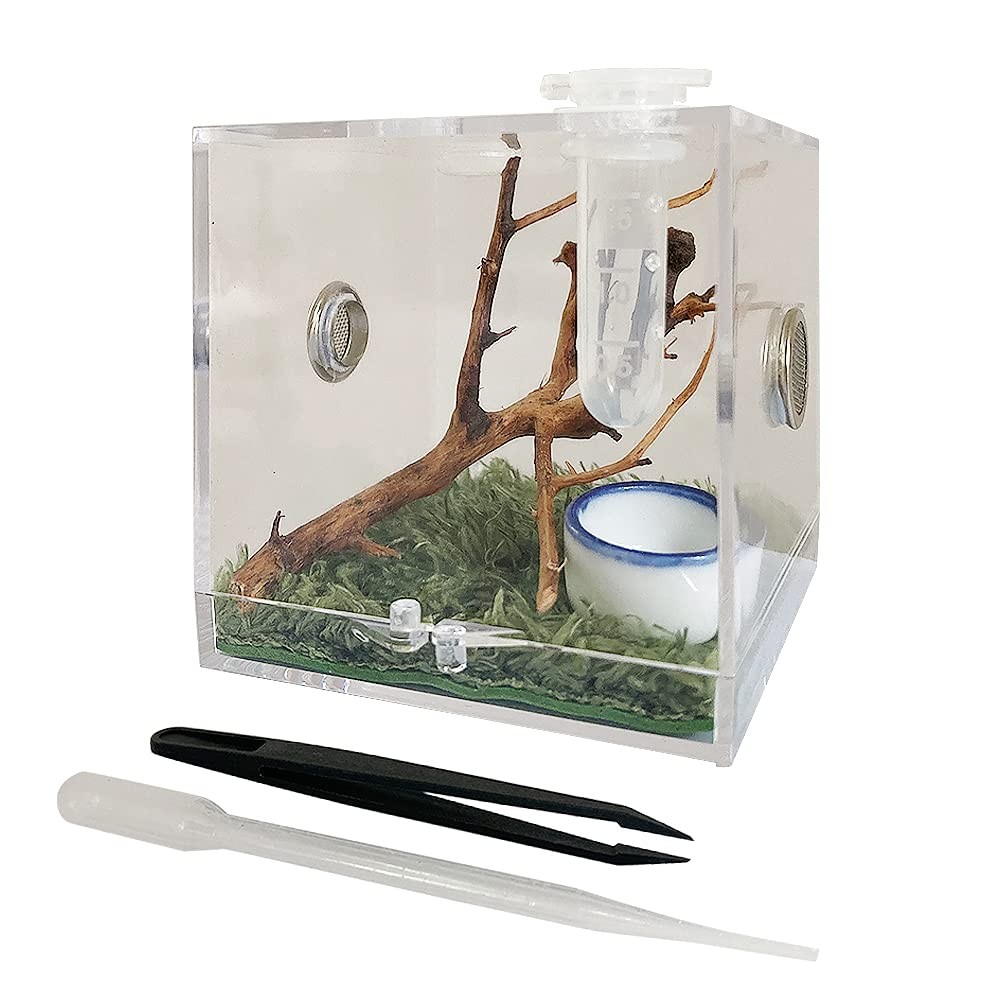 JOBEDE Jumping Spider Enclosure, Habitat with Dropper Clear