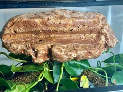 Magnetic Rock Ledges Made For Terrariums And Cages