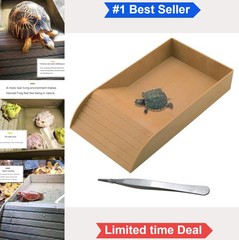 Reptile Tortoise Turtle Feeding Dish with Ramp Basking Platform 14 Inch Plastic