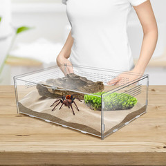 Micro Habitat Terrarium Enclosure, 6X11X16 Inch Jumping Spider Enclosure with Lo