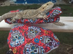 SPANISH SKULL PRINT LRG RESTING BED COVER ONLY /NO FRAME BED 4 BEARDED DRAGONS