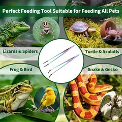 2 Pack Stainless Steel Reptile Feeding Tongs with 10.6 Inch, 10.6″Colorful