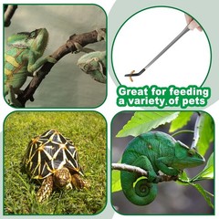 2PCS Stainless Steel Reptile Feeding Tongs with Rubber Tip, 10.6″ Straight an…