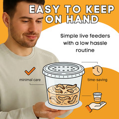 500 Live Wax Worms Feeder Insects for Reptiles Amphibians Birds & More