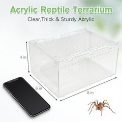Reptile Terrarium Enclosure 8″x6″x4″ Acrylic Tarantula Breeding Box Magnetic
