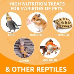 JADINGSFARM 6 Pack Canned Mealworms for Reptiles, Fish, 7.2 Ounce (Pack of 1)