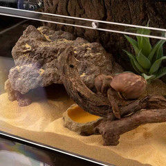 Reptile Simulation Rock Cave Hideouts Terrarium Habitat Décor Bearded Dragon Hid