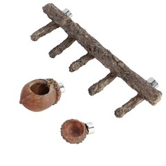 Jumping Spider Hideout and Feeding Dish, 3 in 1 Nut Shaped Hide Cave Sets for…