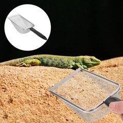Reptile Poop Scoop Terrarium Bedding Sand Shovel for Tortoise Lizard Spider