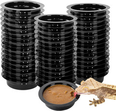 Magnetic Reptile Ledge, Acrylic Gecko Feeding Ledge with 6PCS Cups, Reptile Food