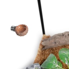 Jumping Spider Hideout and Feeding Dish, 3 in 1 Nut Shaped Hide Cave Sets for…