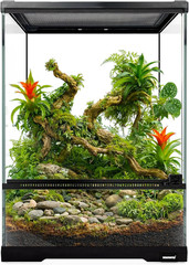 Reptile Glass Terrarium 10x10x14in with Front Door for Crested Gecko & More