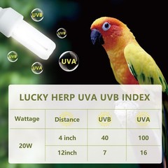 LUCKY HERP UVA UVB Light Bulb for Birds 2.4 UVB 20W Compact Flourescent Lamp for