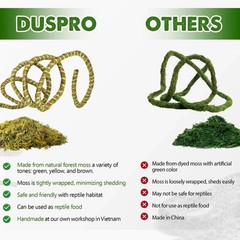 6.5FT Reptile Vine & Moss Set for Climbing Bendable Branch, Natural Moss Rope…