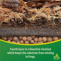 Chilean Sphagnum Moss 100g Terrarium Substrate Plant Reptile Amphibian Humidity