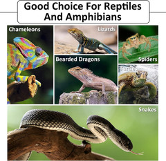 Hamiledyi Reptile Bark Bedding Tortoise Habitat Substrate Natural Terrarium Bark