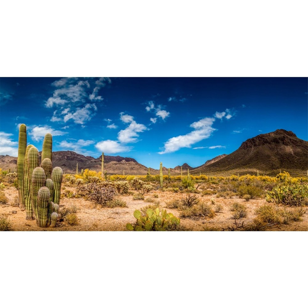 AWERT 36×18 inches Reptile Habitat Background Blue Sky Oasis Cactus Desert Terra