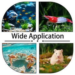 2 Pcs Shrimp Feeding Dish, Aquarium Fish Tank Feeder Clear