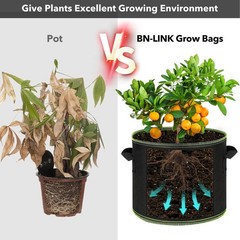 BN-LINK Seedling Heat Mat 10″ x 20.75″-2 Pack and 5 Gallon 10 Pack Grow Bags …