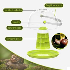 Snail Terrariums Breeding Box, Round Habitat Starter Terrarium Kit, Transpare…