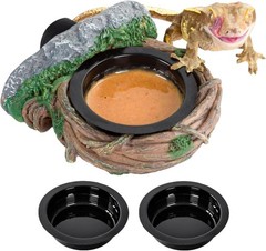 Magnetic Reptile Feeding Ledge with 2/4Cup, Gecko Food Dish & Water Bowl for Ter