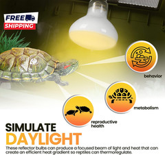 (4-Pack 100W Reptile Heat Lamp Bulbs – UVA Daylight Basking Light Bulbs