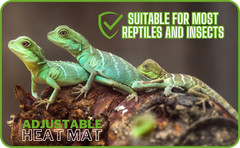 Reptile Vivarium PVC Heat Mats Heating with Temperature Adjustment – 4 Sizes