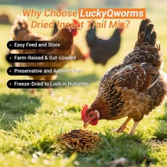 Dried Insect Trail Mix High Protein Natural Treat for Chickens Birds Reptiles