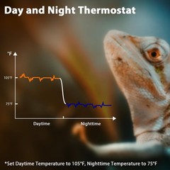 Reptile Dimming Thermostat, Adjustable Day and Night Temperature, Black