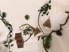 Reptile Habitat Accessories Bundle for Terrarium