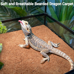 Coco Fiber Reptile Mat 10 Pack 12×12 Substrate Liner Garden Mulch Pads