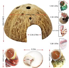 15 PCS Hermit Crab Shell Growth Seashells Natural Coconut Hut Fish Tank Decor